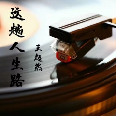 这趟人生路 (烟嗓版)(DJ默涵版)