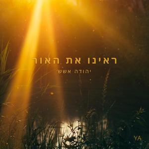 ראינו את האור