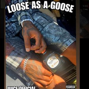 Loose as a goose