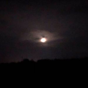 雨霖铃·寒蝉凄切