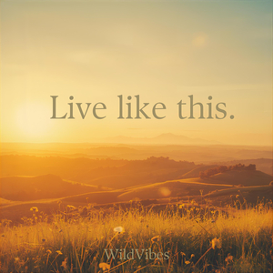 Live Like This