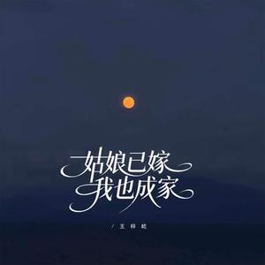 姑娘已嫁我也成家 DJ小玉版