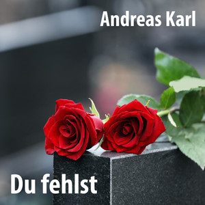 Du fehlst