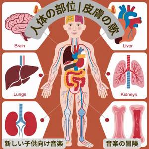 人体の部位 | 皮膚の歌 – 新しい子供向け音楽