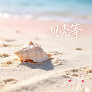 贝壳等