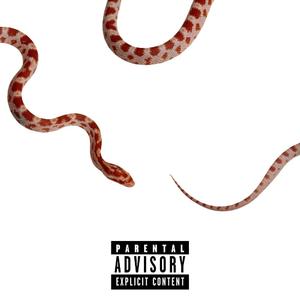 Snake Charmer (feat. J. I. Gassen)