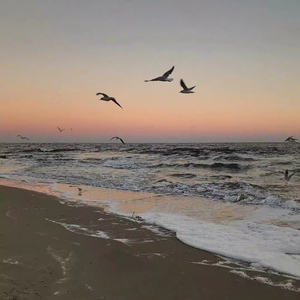 霓虹倒影(钢琴版)