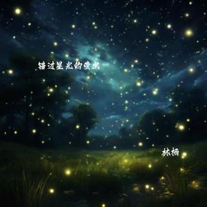 错过星光的萤火