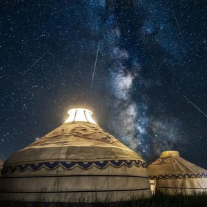 白鸽乌鸦相爱的戏码