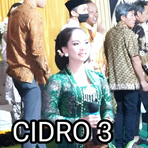 CiDRO 3