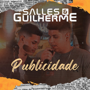 Publicidade