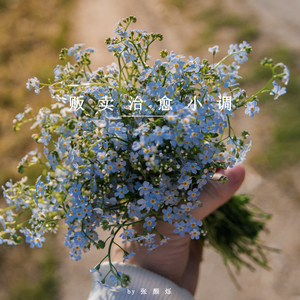 焦虑大扫除 (八音盒)