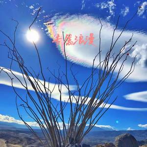 专属浪漫pt.1（prod by slim dyane）