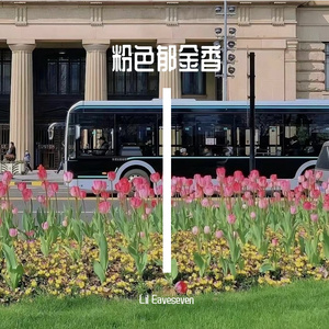 粉色郁金香（ProdbyBECUBEATZ）