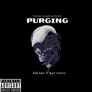 PURGIN