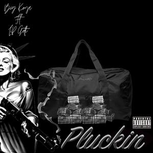 Pluckin