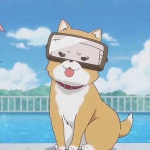 走在冷风中日文版（Cover 刘思涵）