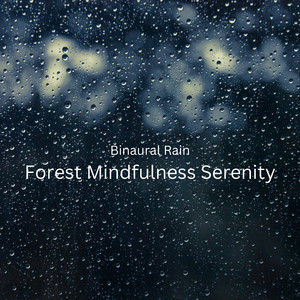 Forest Firefly Binaural Fire Serenity