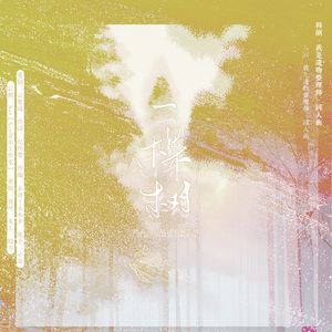 《一棵树》—韩剧·我是遗物整理师·原创