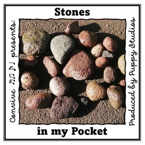 Stones in my pocket