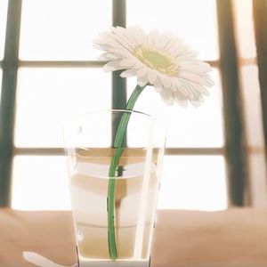 花，约定与离别