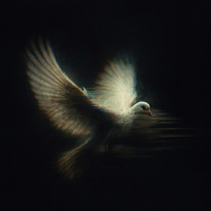 hollowache - super slowed