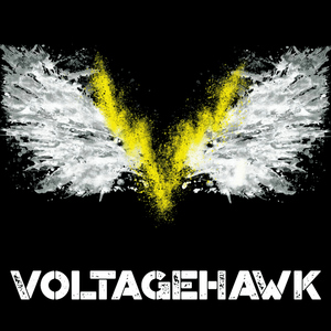 Voltage