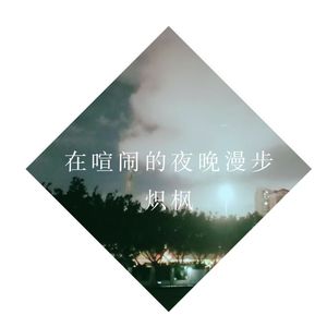 在喧闹的夜晚漫步