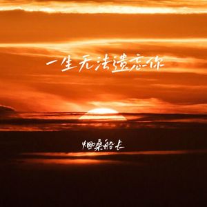 一生无法遗忘你 (DJ越鑫版伴奏)