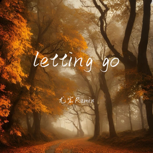 蔡健雅-letting go（尤宏 / Dj狗峰Remix / 张灵玉 / DJ小谭 / DJ阿易 remix）