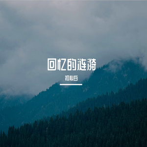 回忆的涟漪
