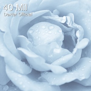 40 Mil