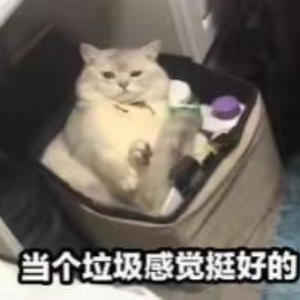 一首简单的小情歌demo（prod by Lisure）