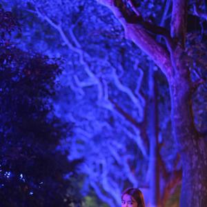 我还年轻 我还年轻