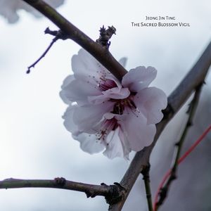 Footsteps Across the Ink Garden