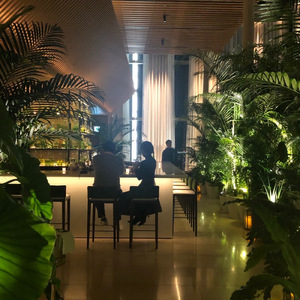 サタデイナイト