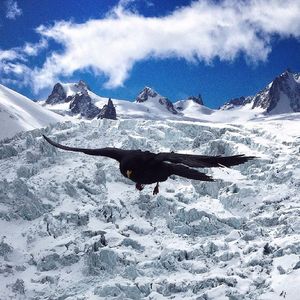 我在喀喇昆仑站岗-辛舟