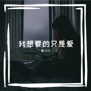 我想要的只是爱