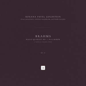 Piano Quartet No. 1 in G Minor, Op. 25: IV. Rondo all Zingarese. Presto