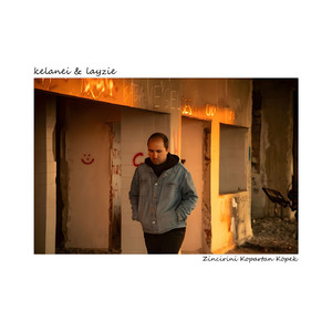 Zincirini Kopartan Köpek