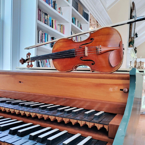 Sonata No. 1 in G Major, BWV 1027: II. Allegro ma non tanto