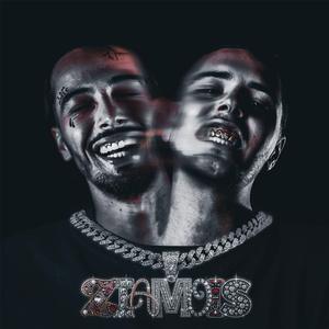 Traphone (feat. Nobodylikesbirdie & Decembrr)