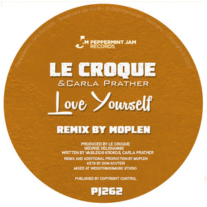 Love Yourself (Moplen Disco 3000 Remix)
