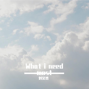 我最想要（what i need most)