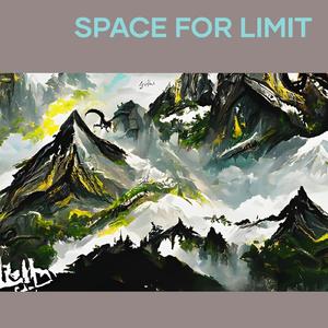 Space for Limit