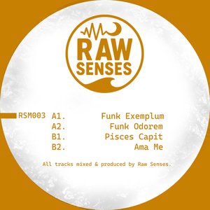 Funk Exemplum