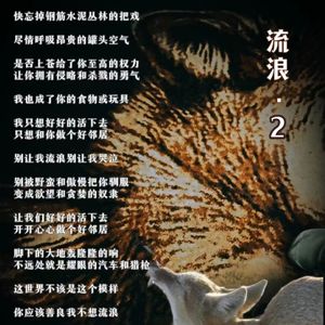 流浪。2（暂名）