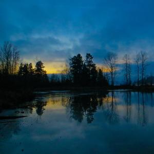 Noemi (feat. Theo Mizú) (Remix) (Remix)