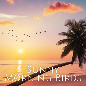 Morning Drizzle Birds