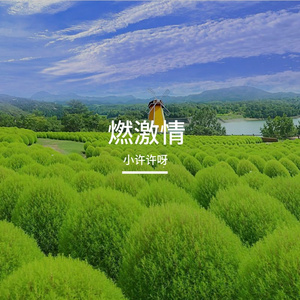 逐梦想